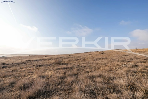 Հողատարածք Կոդ` 9+6151255