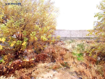 Land areas Code: 8+606656