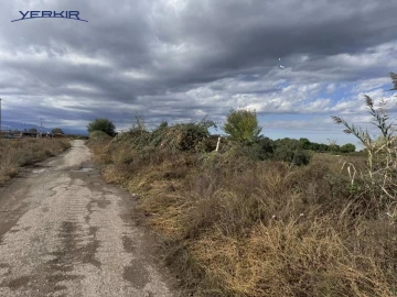 Land areas Code: 10+620644