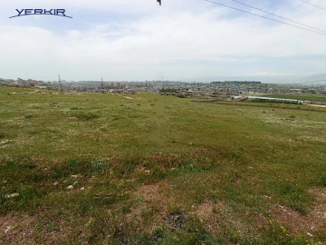 Land areas Code: 10+618302