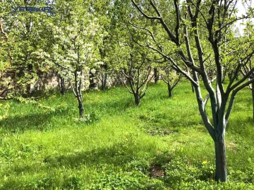 Land areas Code: 4+609453