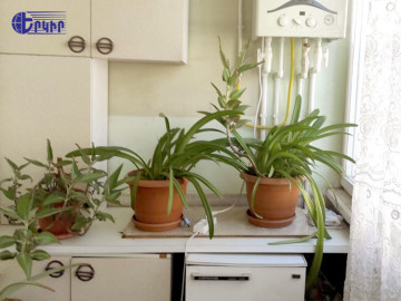 Apartments Code: 6+103298