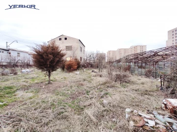 Земля Код 10+616031