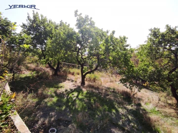 Հողատարածք Կոդ` 8+613489