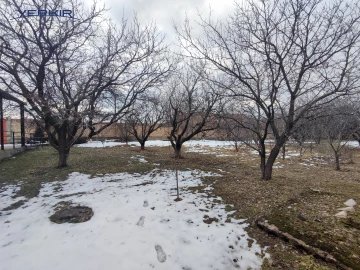 Land areas Code: 4+615798