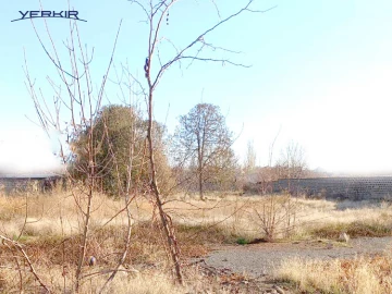 Land areas Code: 8+601595