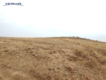 Land areas Code: 8+606687