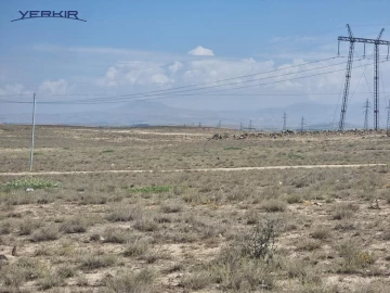 Земля Код 8+602896