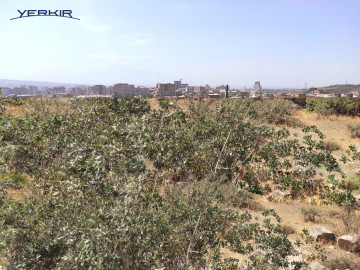 Земля Код 5+604836