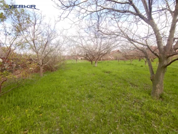 Land areas Code: 10+609984