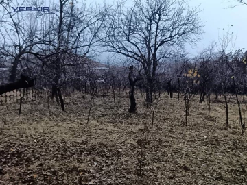 Земля Код 2+614845