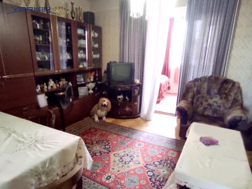 Բնակարաններ Կոդ` 4+305822