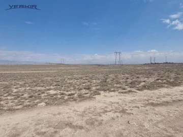 Земля Код 8+602896