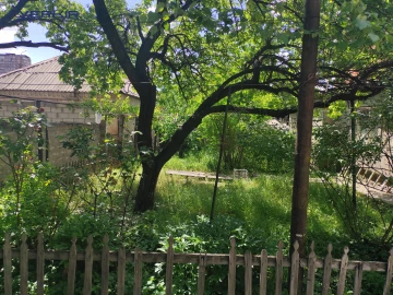 Հողատարածք Կոդ` 8+617922