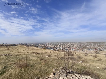 Land areas Code: 10+613941