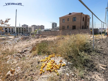 Land areas Code: 10+620277