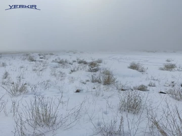 Land areas Code: 10+608059