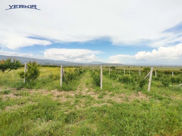 Land areas Code: 10+618397