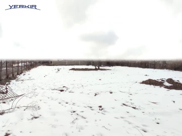 Land areas Code: 10+607958